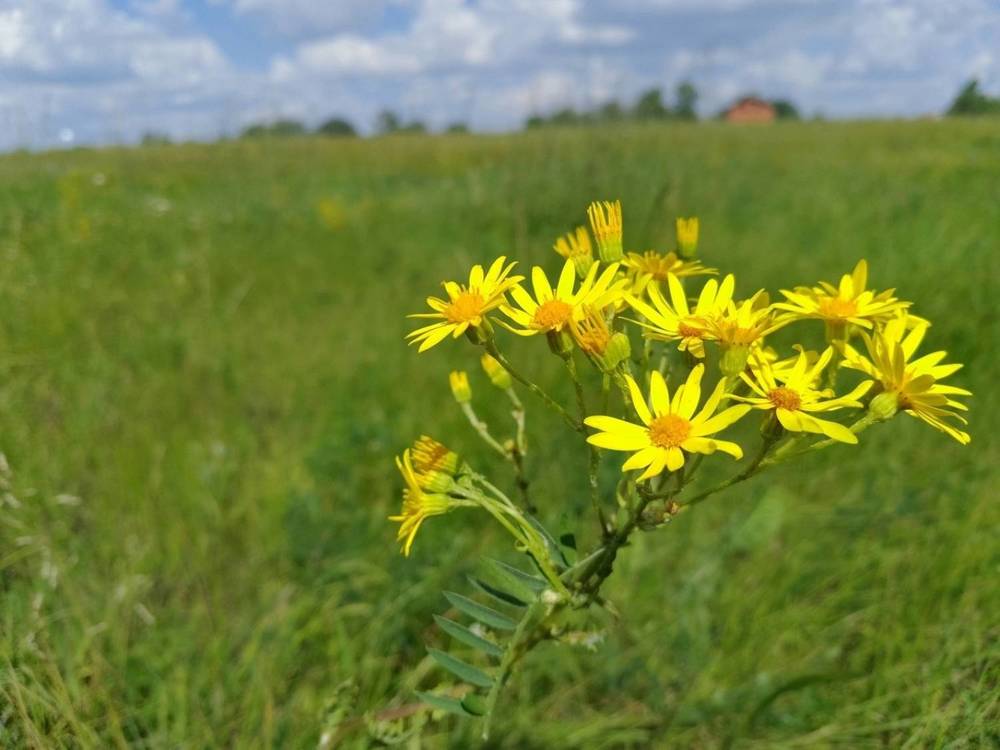 Photograph by Мира Федорова