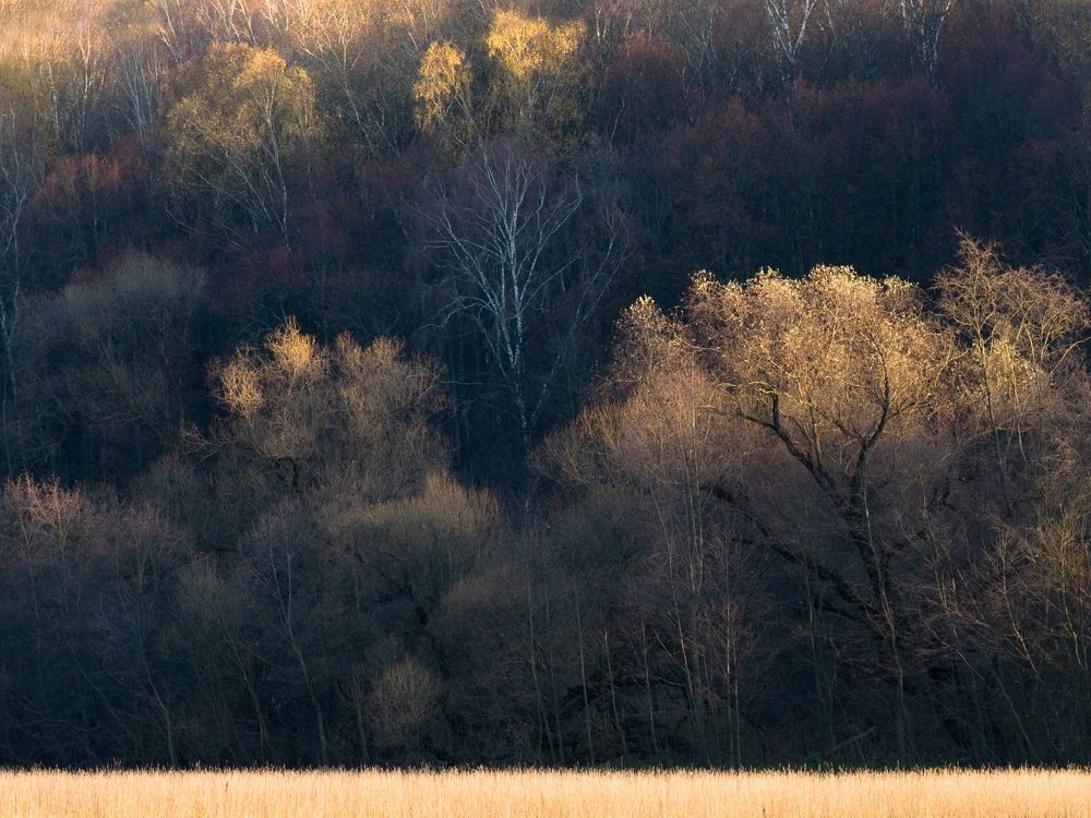 Photograph by Надежда