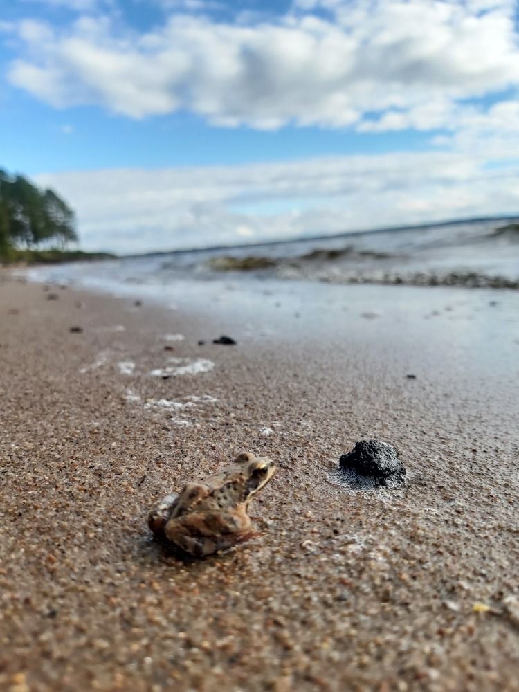 Photograph by Олег Лебедев