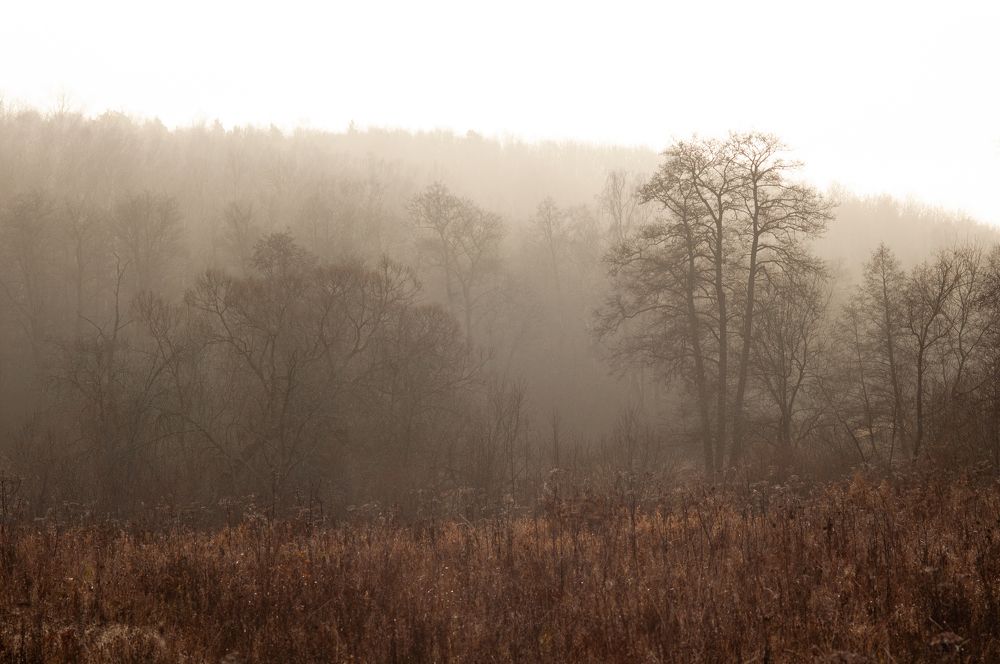Photograph by Надежда
