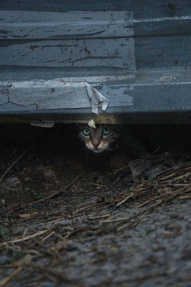 Photograph by Илья