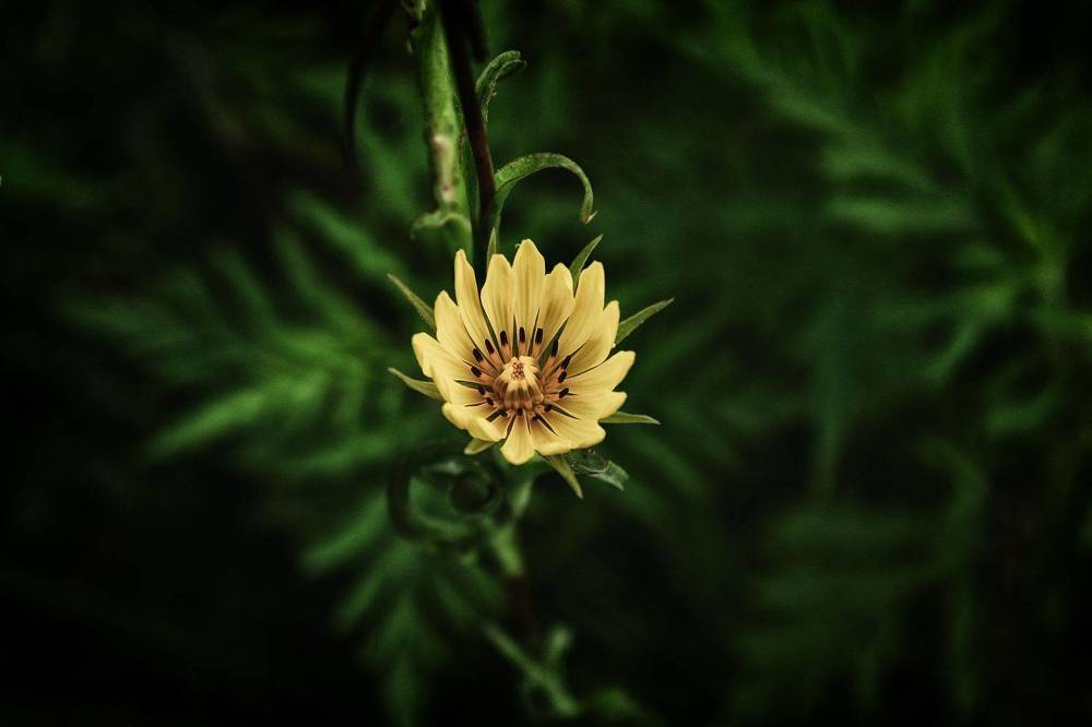 Photograph by Eperjessy Adrian