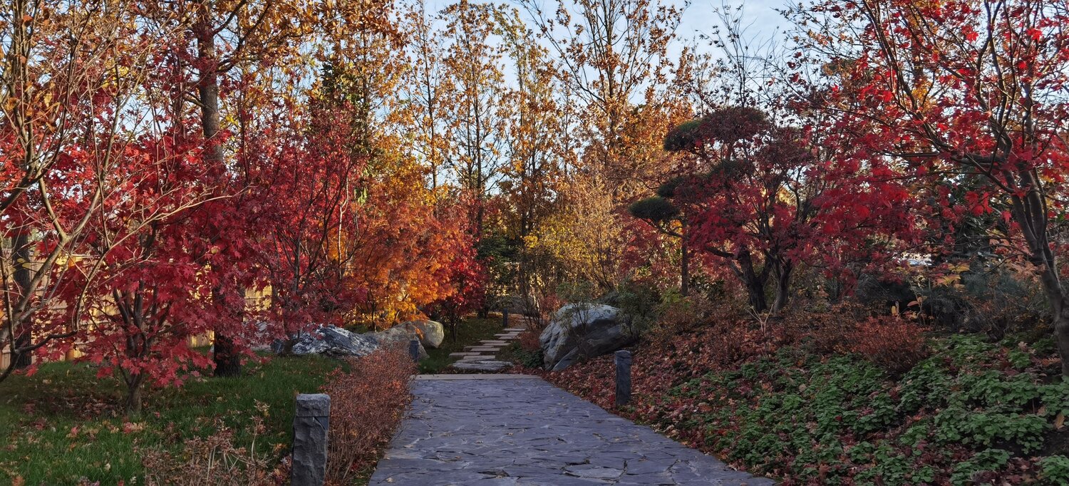 Photo #11120167