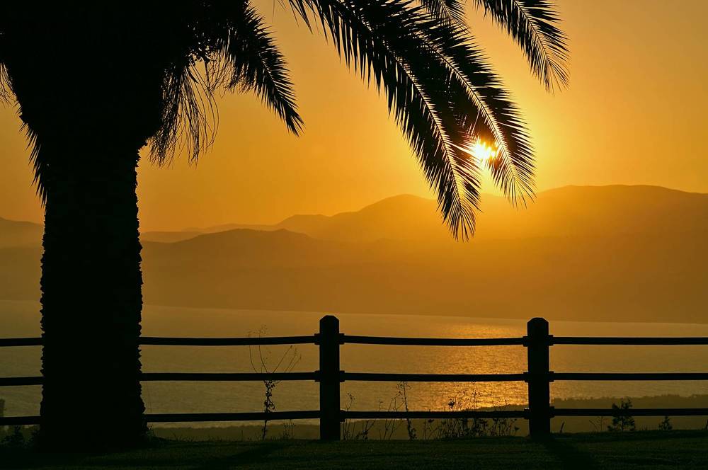 Фотография автора David Solodar