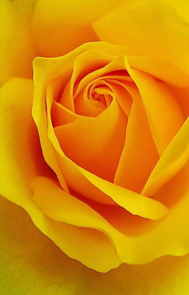 Photograph by Евгений Савулькин