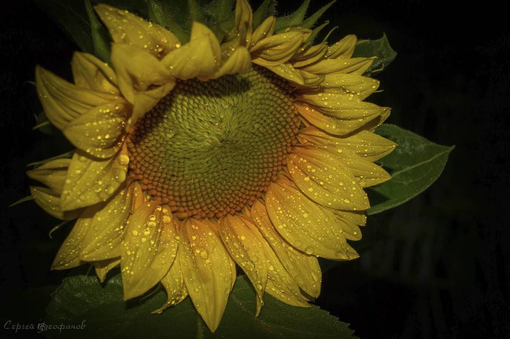 Photograph by Сергей Феофанов