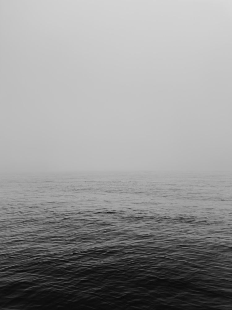 Photograph by Алиса Нежинская