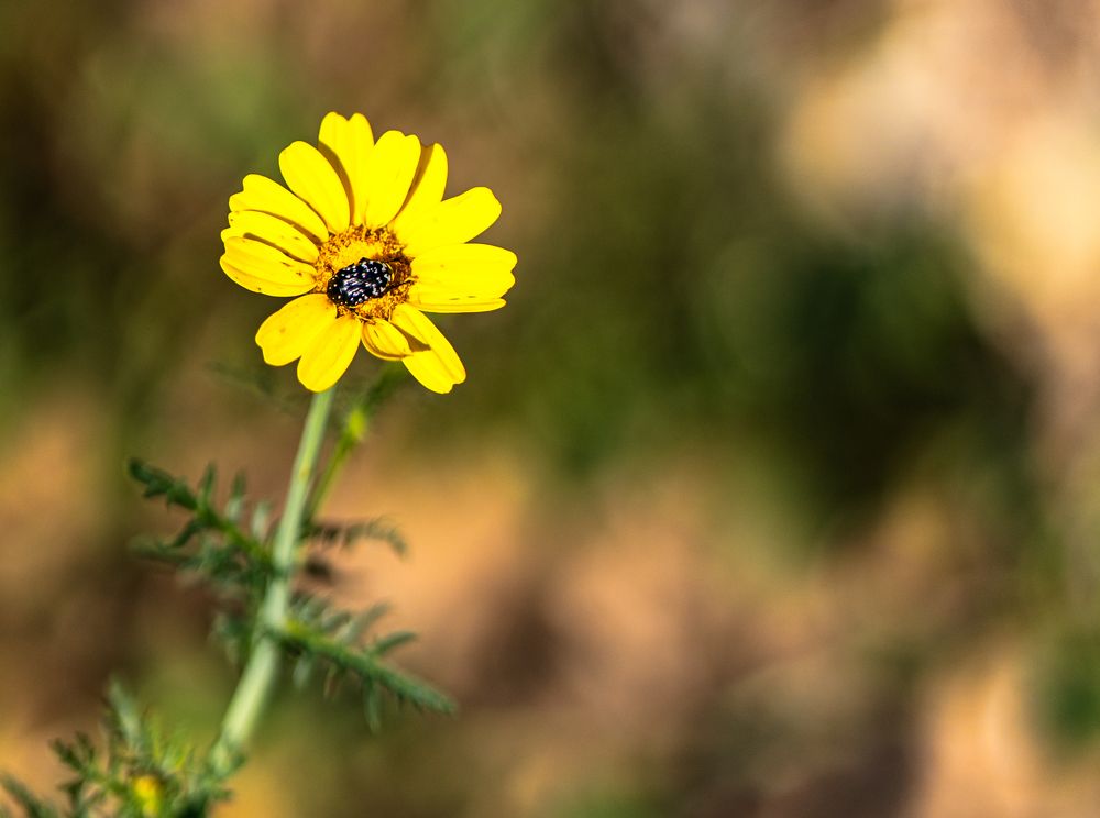 Photograph by Igor Shulkin