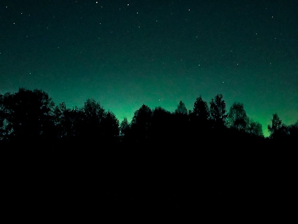 Фотография автора Максим Гафнер