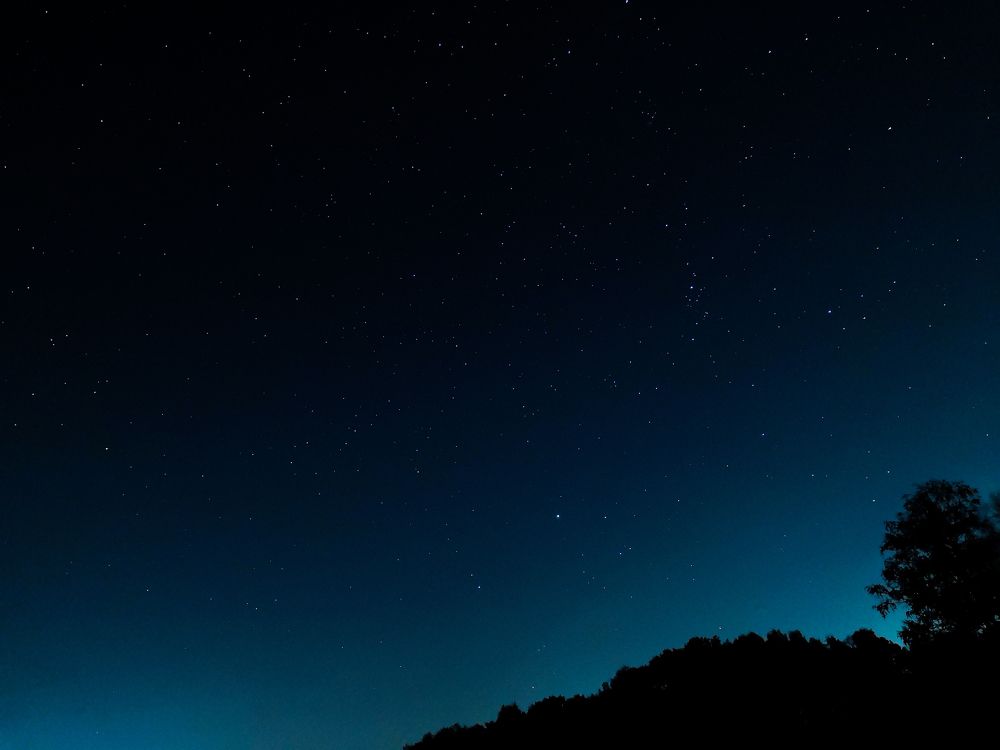 Фотография автора Максим Гафнер