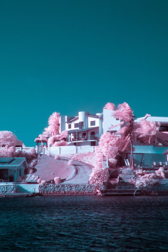 Photo #11120239