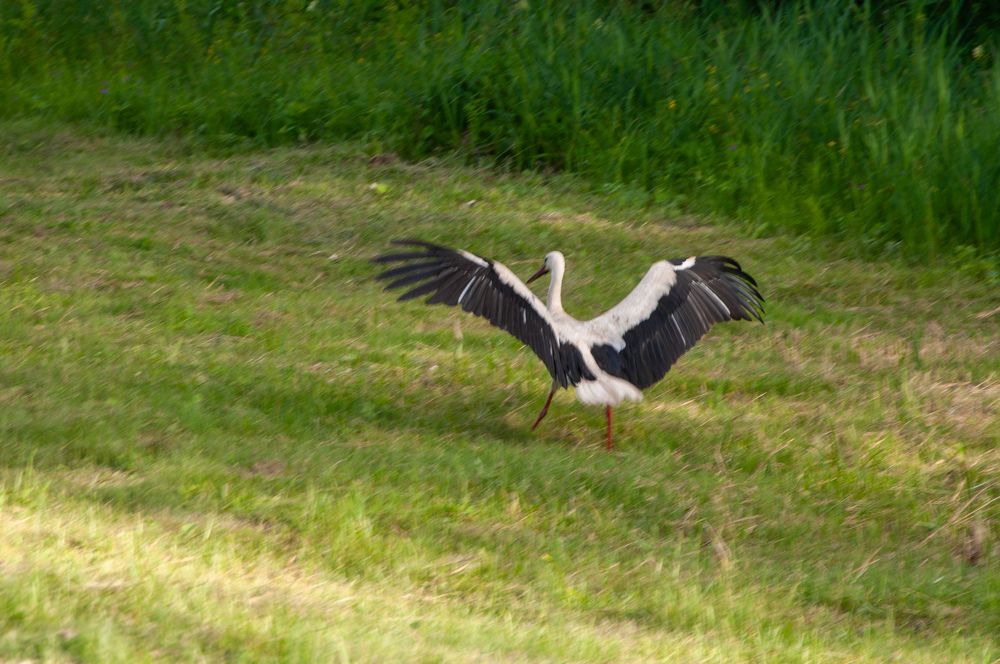 Photograph by Артём Таначёв