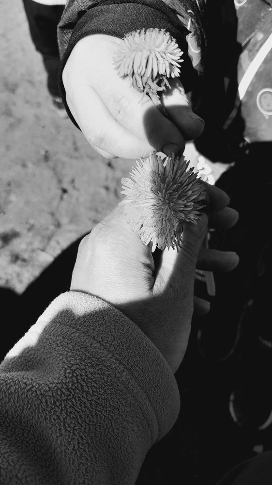 Photograph by Любовь Штильникова