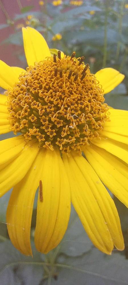 Фотография автора Марина Новикова