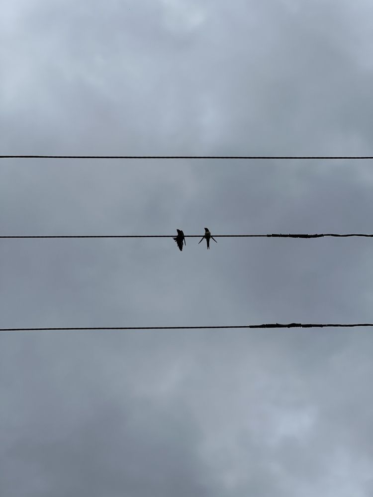 Photograph by Татьяна Дмитроченко