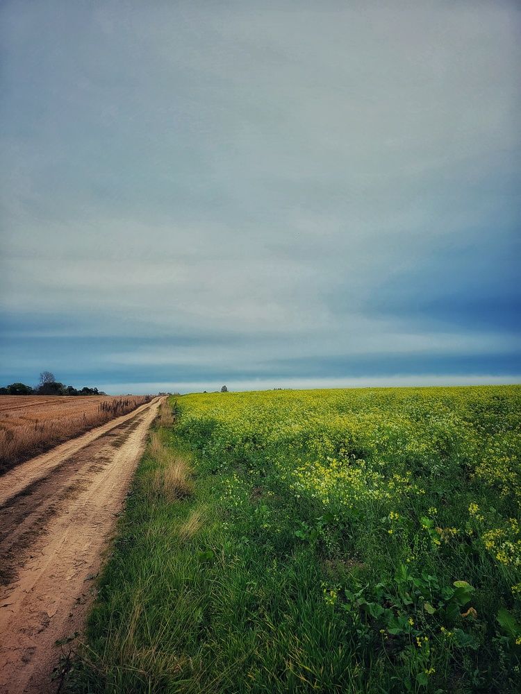 Photograph by Алина