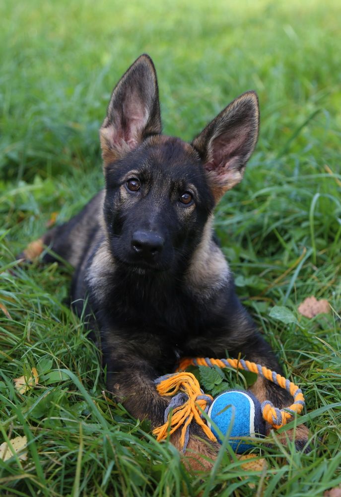 Photograph by Анастасия Рысь