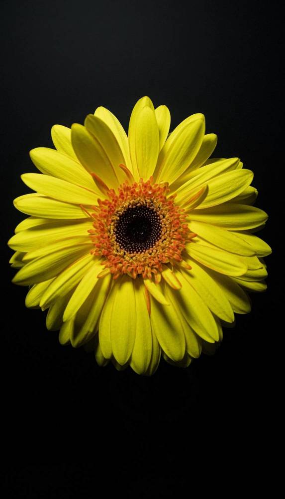 Photograph by Анна Васильева