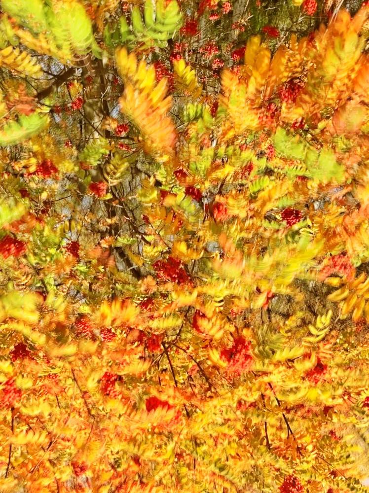 Photograph by Ксения Березкина