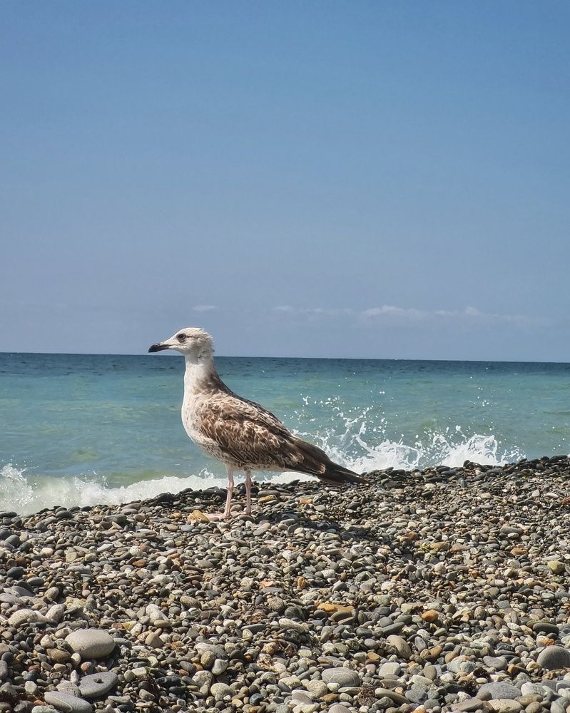 Photograph by Людмила Кухарева