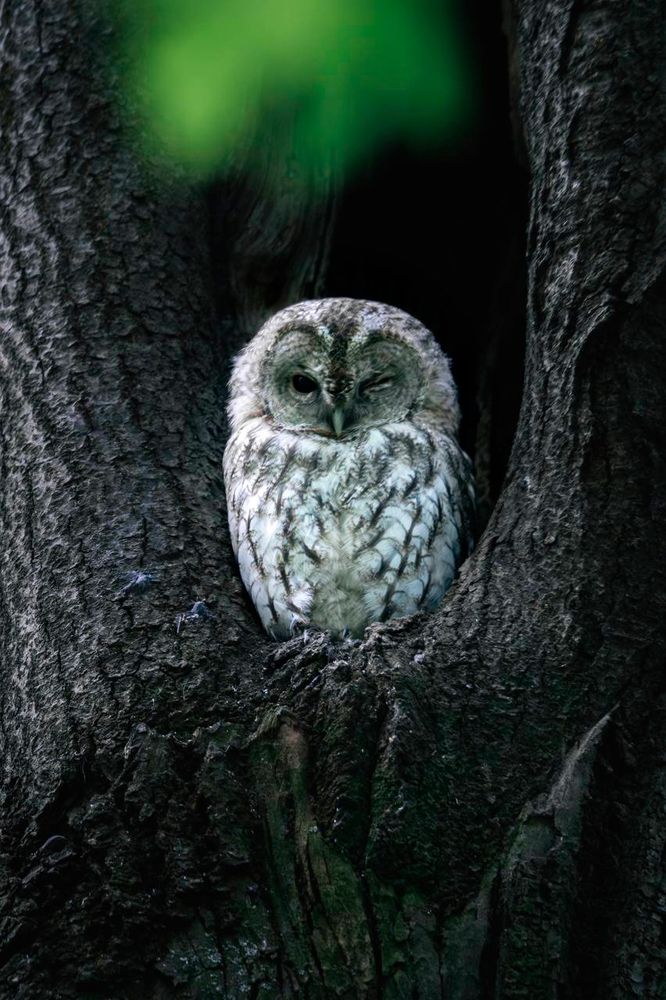 Photograph by Илья