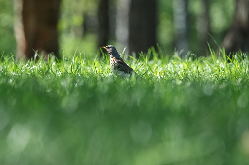 Photograph by Илья