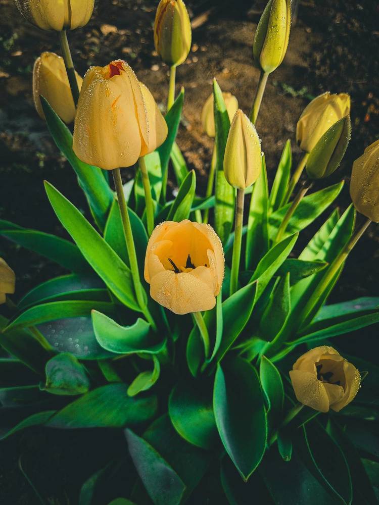 Photograph by Ирина Герлин