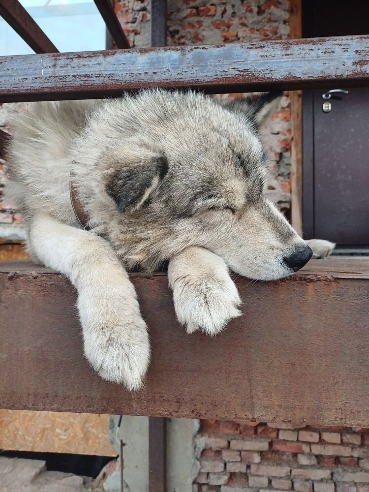 Photograph by Алексей Акимов
