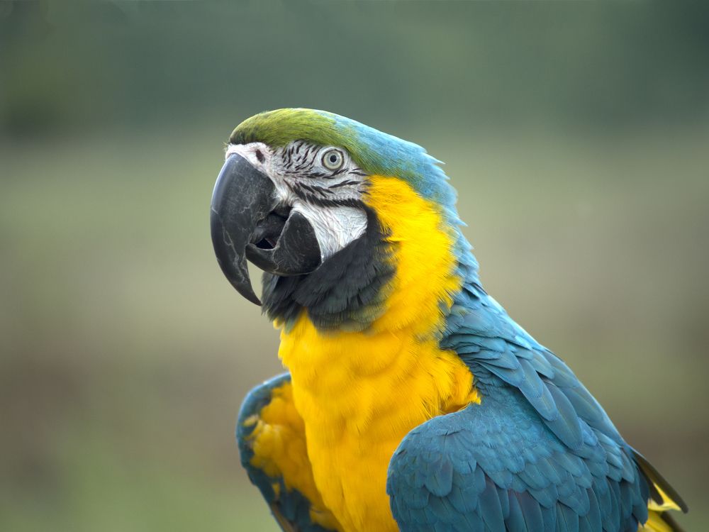 Photograph by Смирнов Алексей