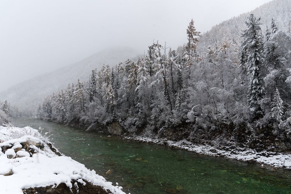 Photograph by Марина Корреа Ластра