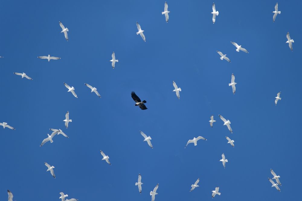 Photograph by Смирнов Алексей