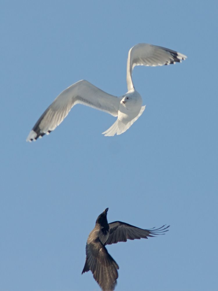 Photograph by Смирнов Алексей