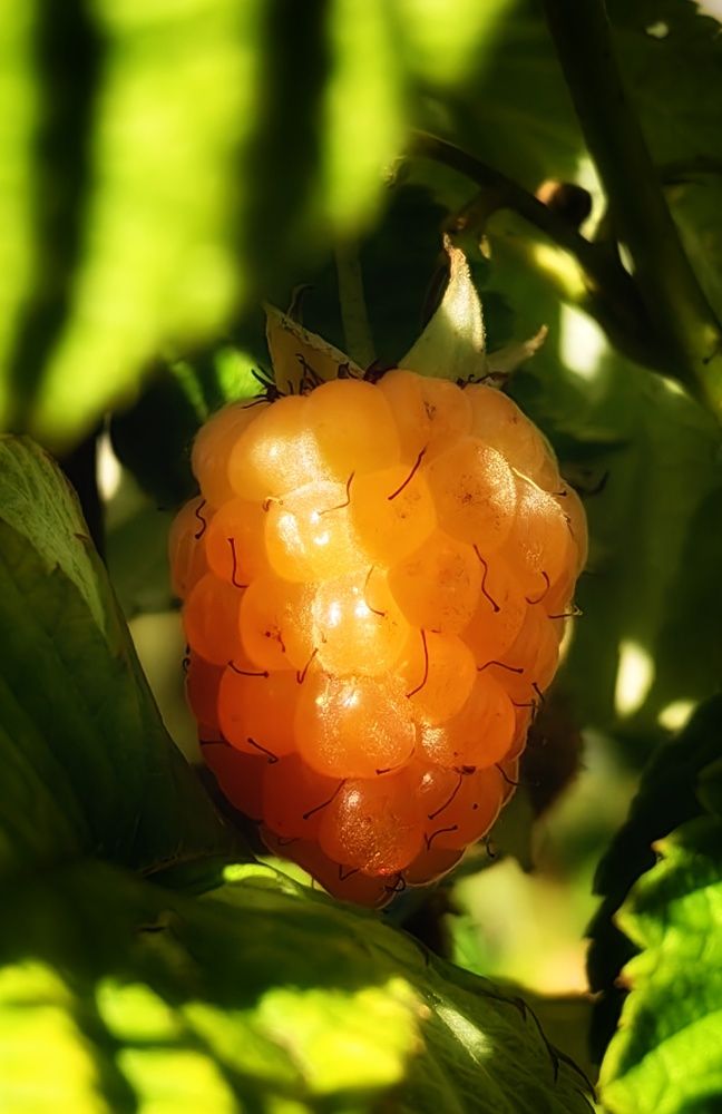 Photograph by Наталия Мельникова