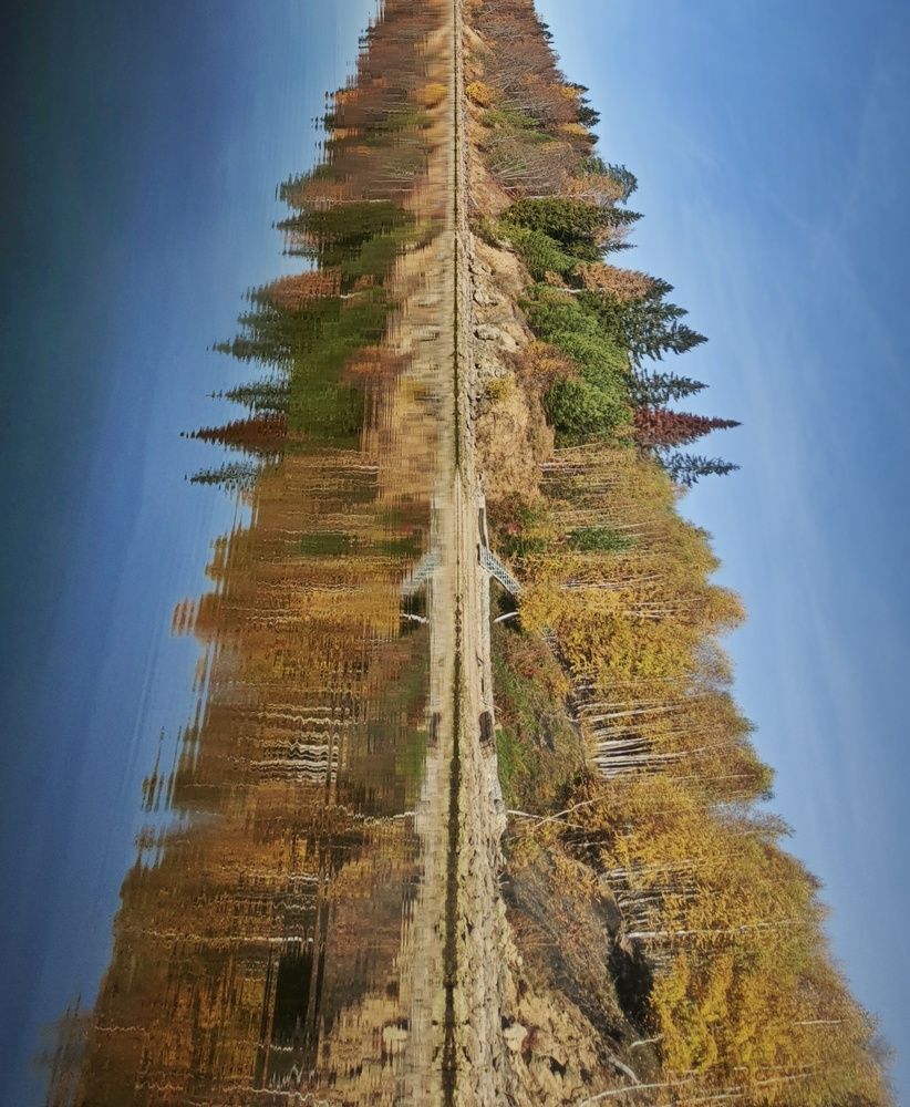 Photograph by Елена