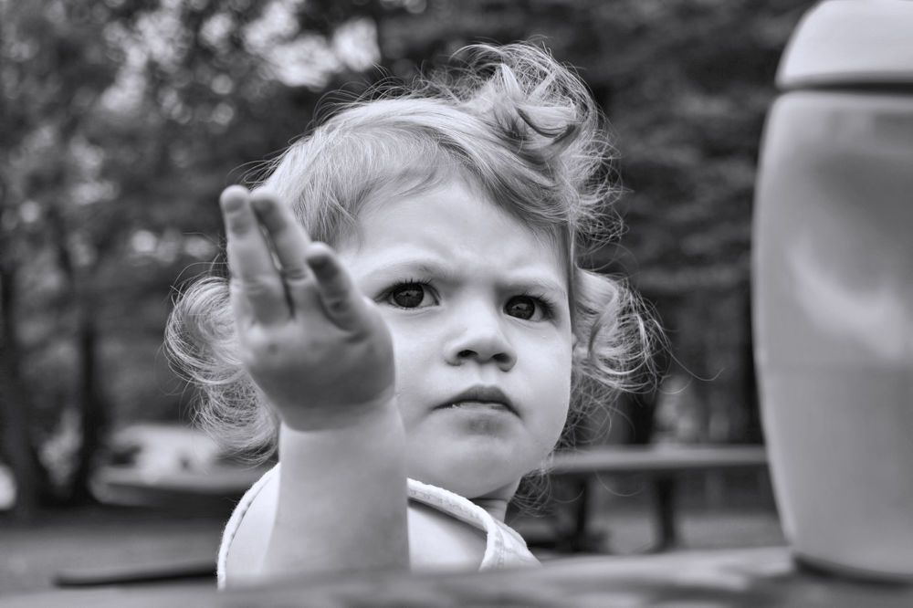 Photograph by A. G. Bisschop