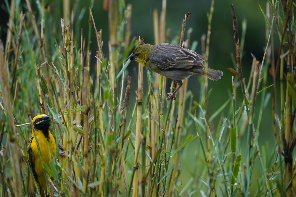 Photograph by Anna Matrushina