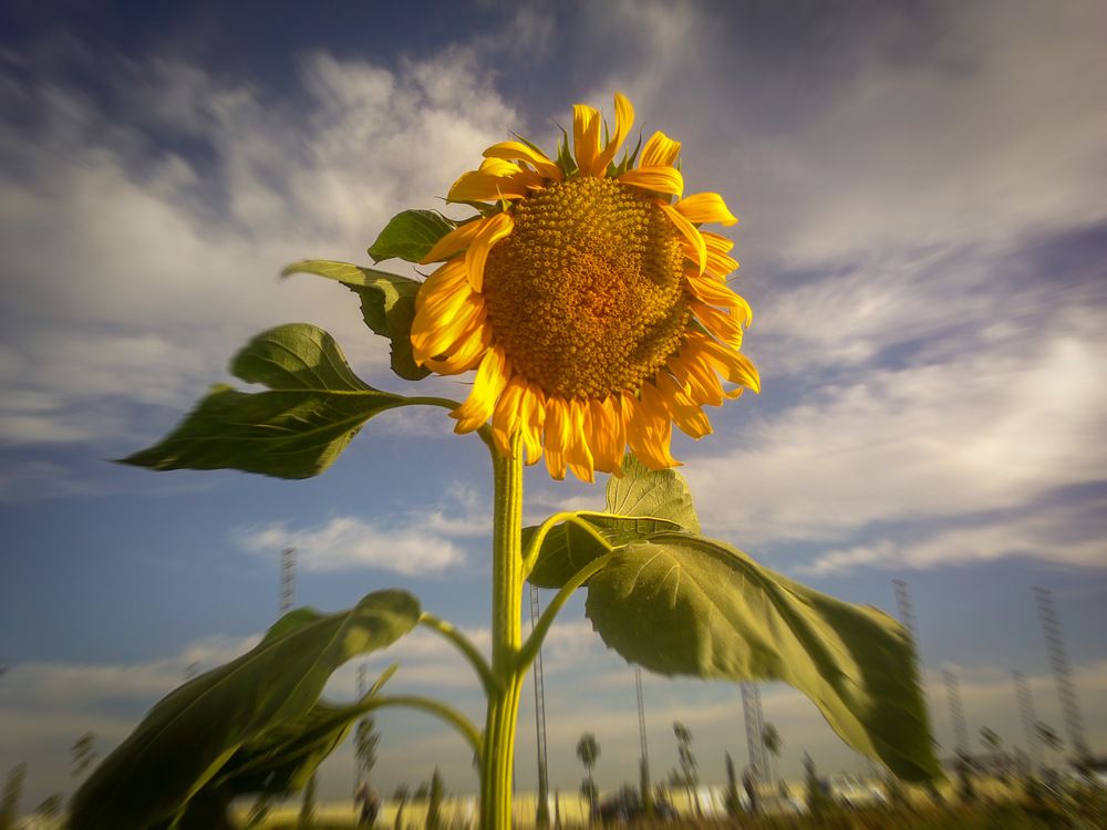 Photograph by  SaidArt