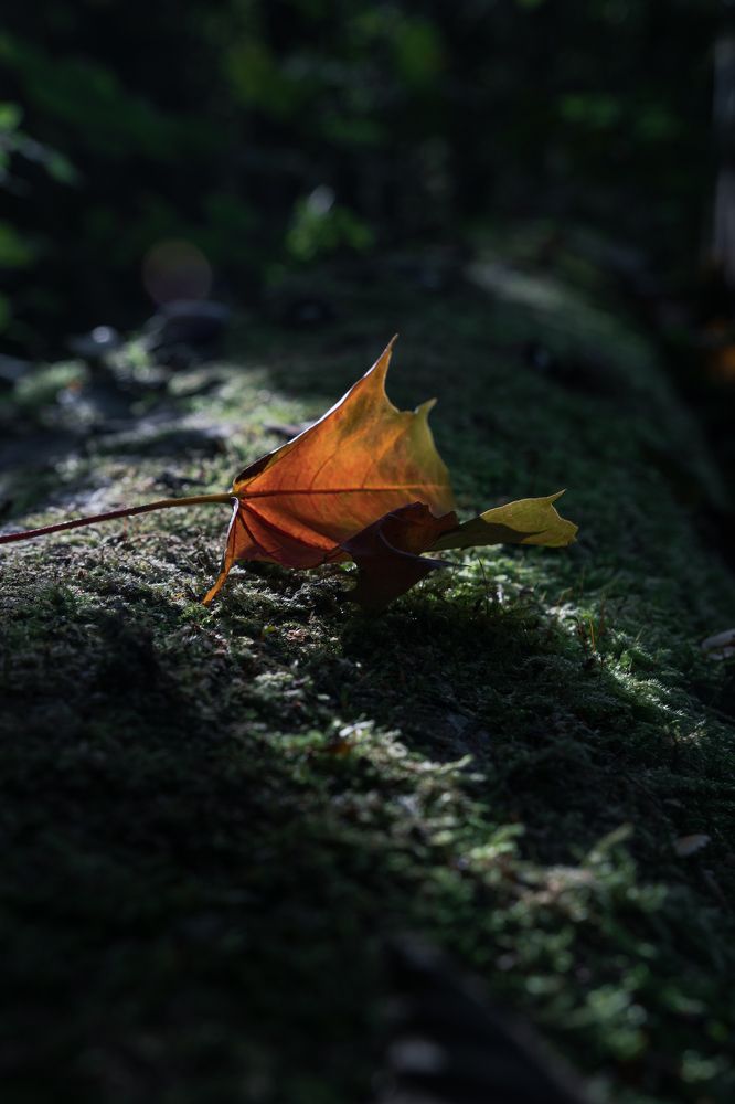 Photograph by Илья