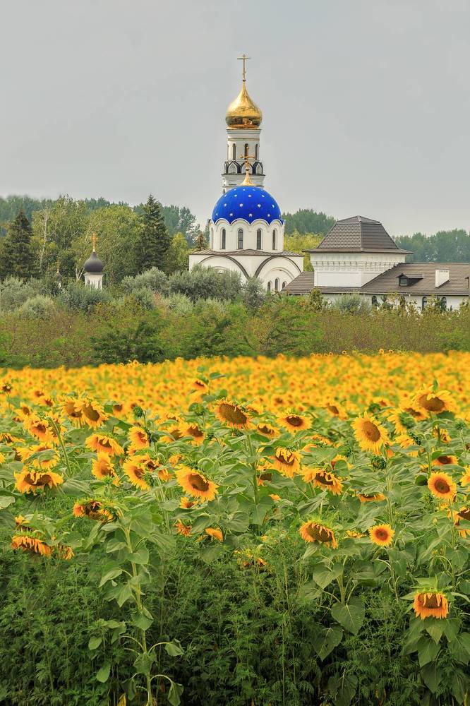 Фотография автора Галина Шепелева