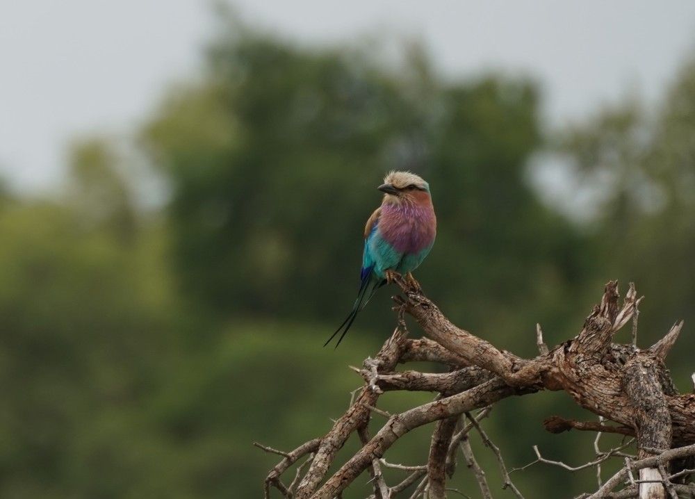 Photograph by Anna Matrushina