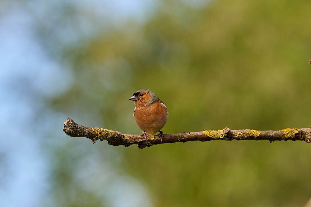 Photograph by Дмитрий Солодухин