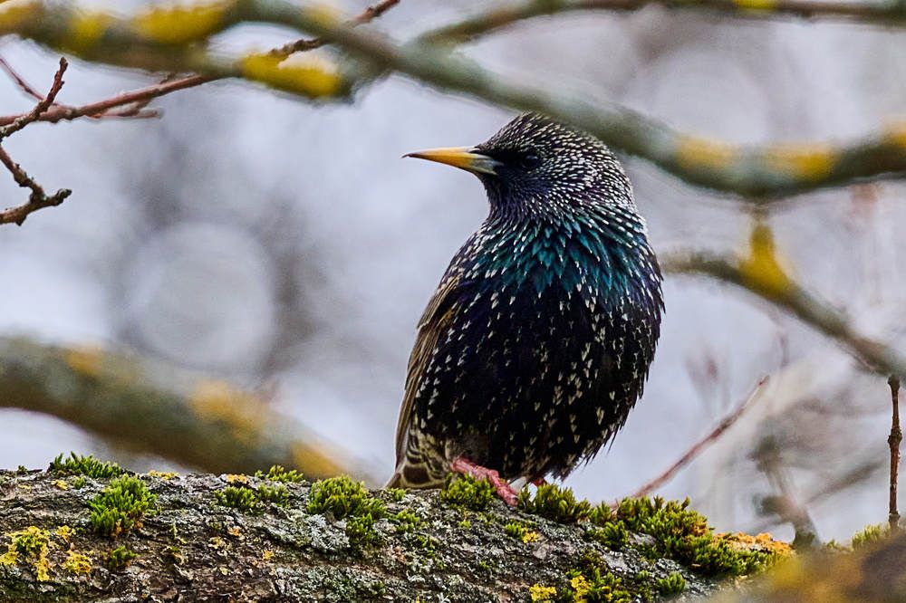 Photograph by Дмитрий Солодухин