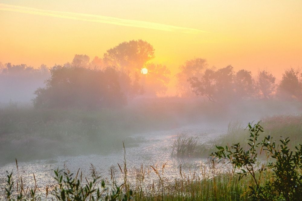 Photograph by Юрий Спасенников