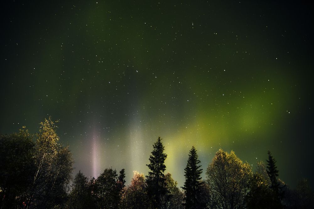 Photograph by Ксения Рябухина