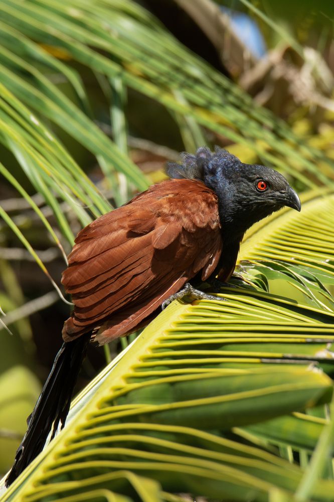 Photograph by Shehan Dondeenu