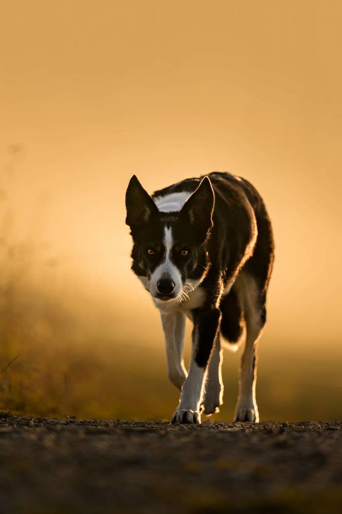 Photograph by Valérie Aubois