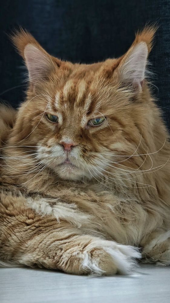 Читай по глазам