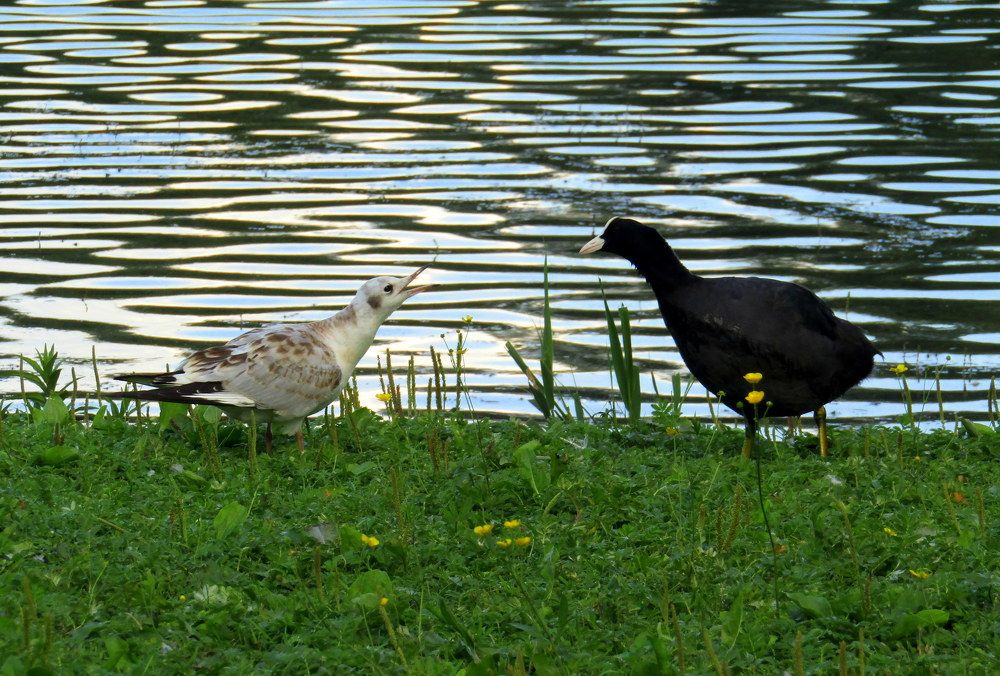 Photograph by Татьяна Смирнова