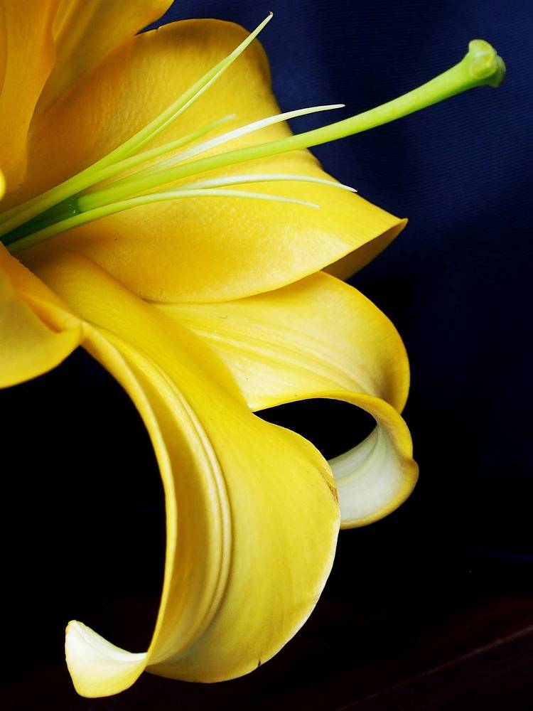 Photograph by Abdolreza Aleagha