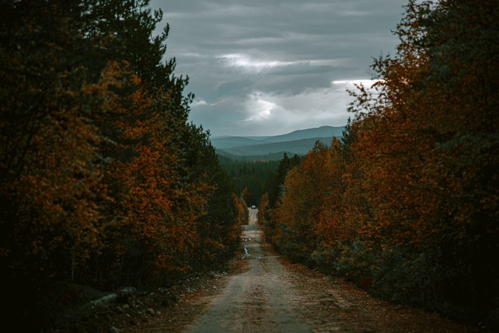 Photograph by Ксения Рябухина